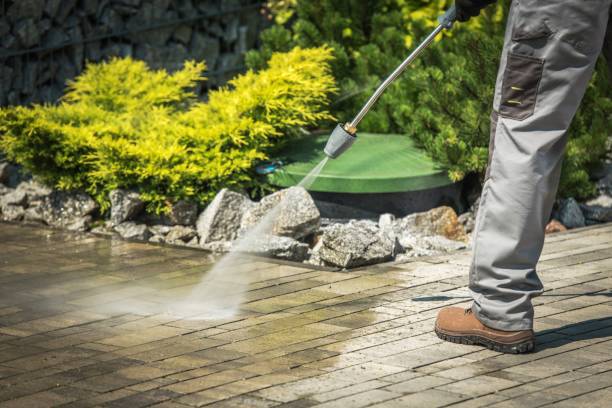 Best Roof Washing  in Enoch, UT